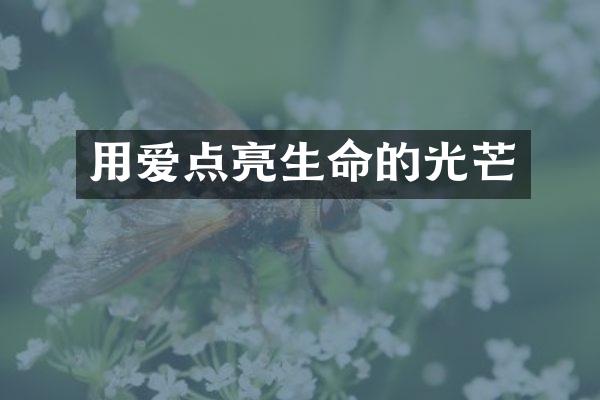 用爱点亮生命的光芒
