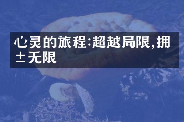 心灵的旅程:超越限,拥抱无限