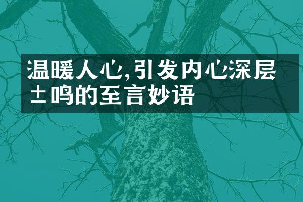 温暖人心,引发内心深层共鸣的至言妙语