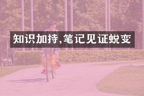 知识加持,笔记见证蜕变