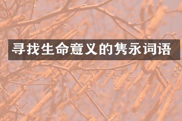 寻找生命意义的隽永词语