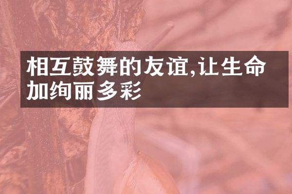相互鼓舞的友谊,让生命更加绚丽多彩