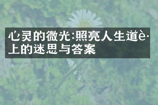 心灵的微光:照亮人生道路上的迷思与答案