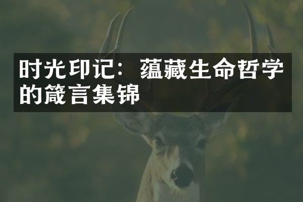 时光印记：蕴藏生命哲学的箴言集锦