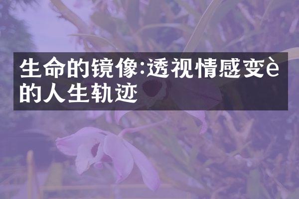 生命的镜像:透视情感变迁的人生轨迹