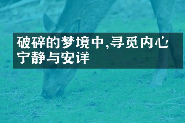 破碎的梦境中,寻觅内心的宁静与安详