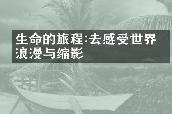 生命的旅程:去感受世界的浪漫与缩影