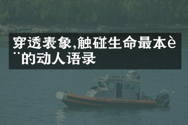 穿透表象,触碰生命最本质的动人语录