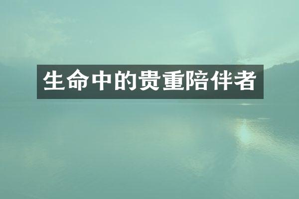 生命中的贵重陪伴者