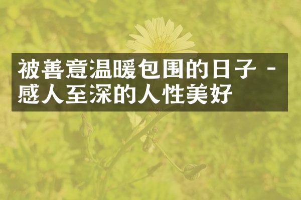 被善意温暖包围的日子 - 感人至深的人性美好