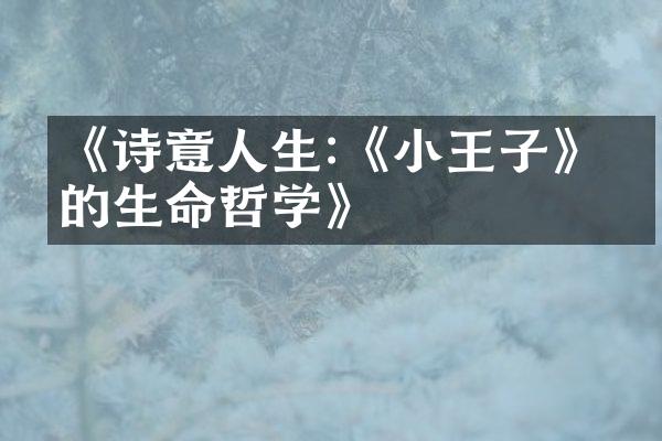 《诗意人生:《小王子》中的生命哲学》