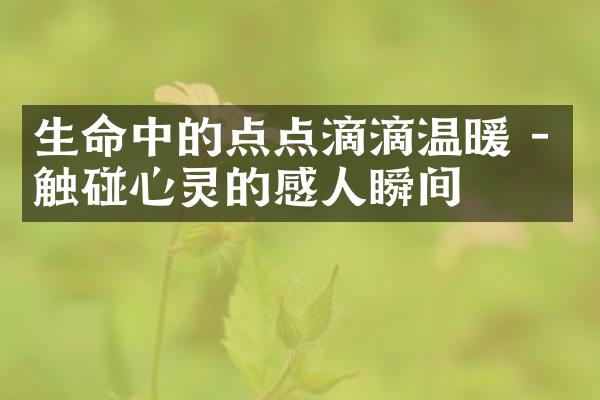 生命中的点点滴滴温暖 - 触碰心灵的感人瞬间