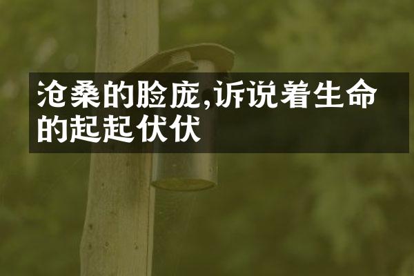 沧桑的脸庞,诉说着生命中的起起伏伏