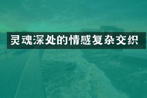 灵魂深处的情感复杂交织
