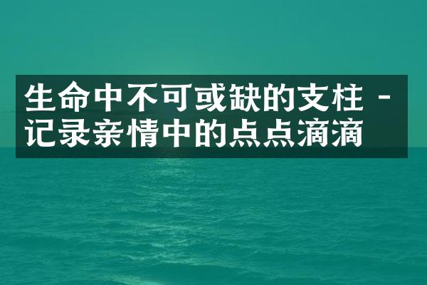 生命中不可或缺的支柱 - 记录亲情中的点点滴滴