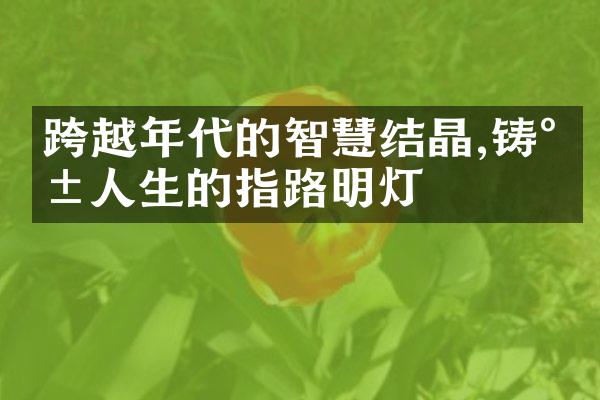 跨越年代的智慧结晶,铸就人生的指路明灯