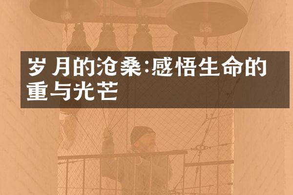 岁月的沧桑:感悟生命的厚重与光芒