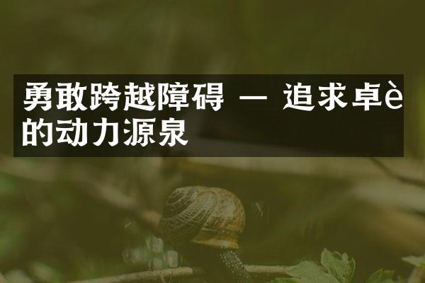 勇敢跨越障碍 &mdash; 追求卓越的动力源泉