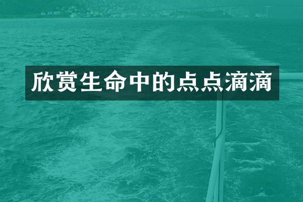 欣赏生命中的点点滴滴
