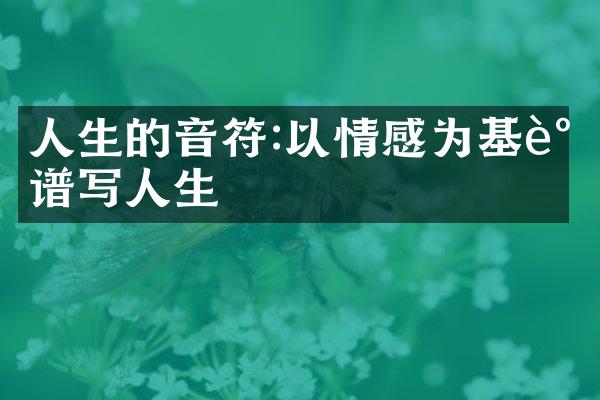人生的音符:以情感为基调谱写人生