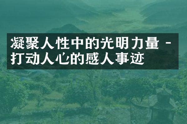 凝聚人性中的光明力量 - 打动人心的感人事迹