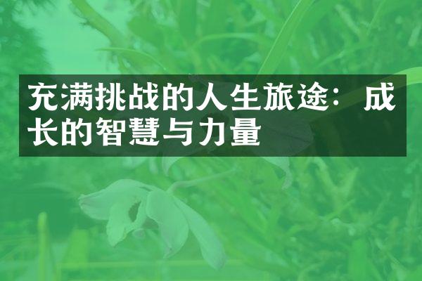 充满挑战的人生旅途：成长的智慧与力量