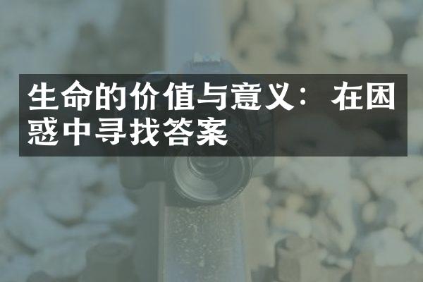生命的价值与意义：在困惑中寻找答案