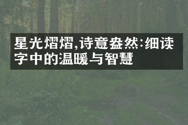 星光熠熠,诗意盎然:细读文字中的温暖与智慧