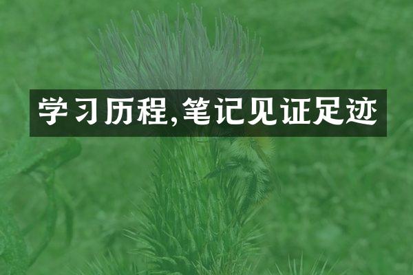 学,笔记见证足迹