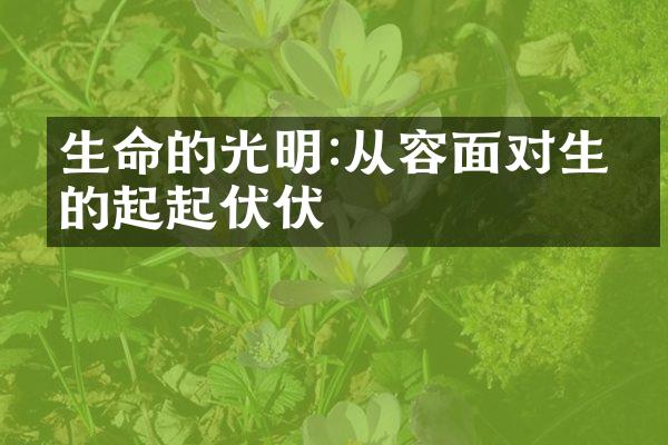 生命的光明:从容面对生命的起起伏伏
