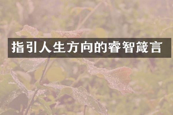 指引人生方向的睿智箴言