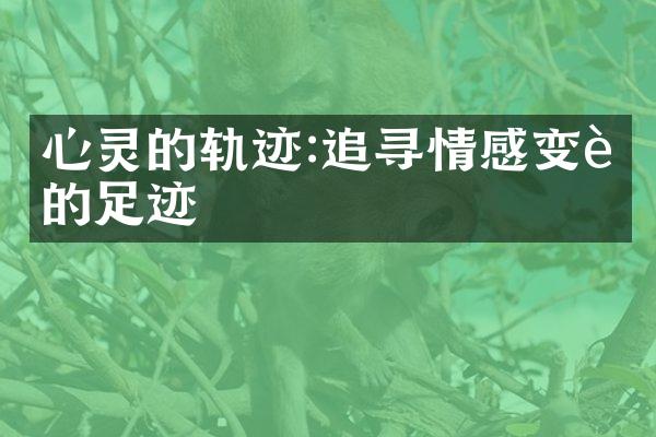 心灵的轨迹:追寻情感变迁的足迹
