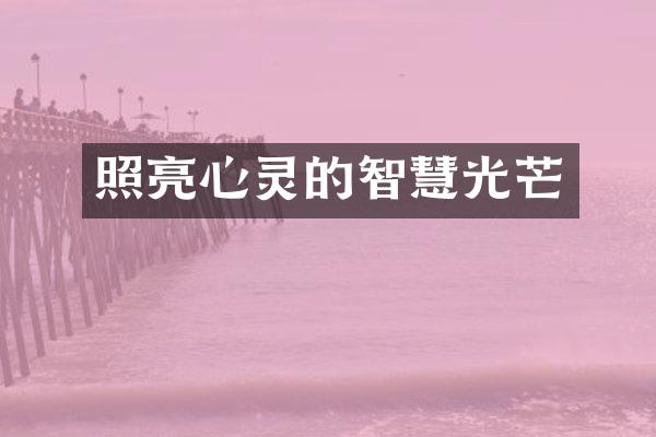 照亮心灵的智慧光芒
