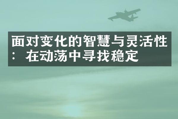 面对变化的智慧与灵活性：在动荡中寻找稳定