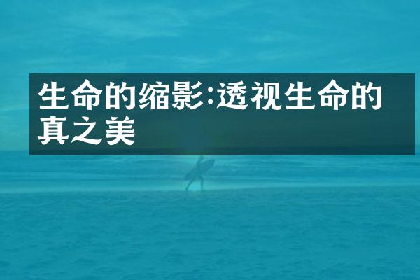生命的缩影:透视生命的本真之美