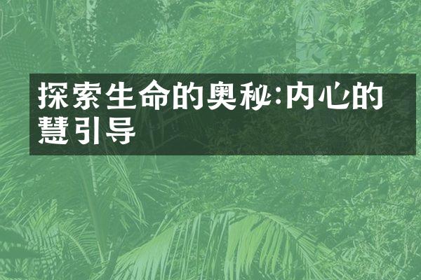探索生命的奥秘:内心的智慧引导