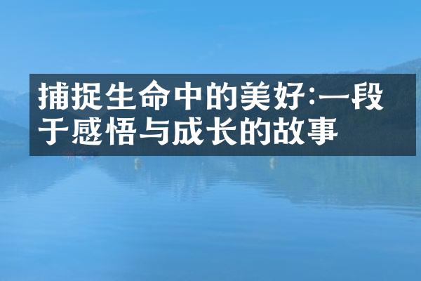 捕捉生命中的美好:一段关于感悟与成长的故事