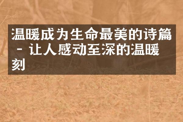 温暖成为生命最美的诗篇 - 让人感动至深的温暖时刻