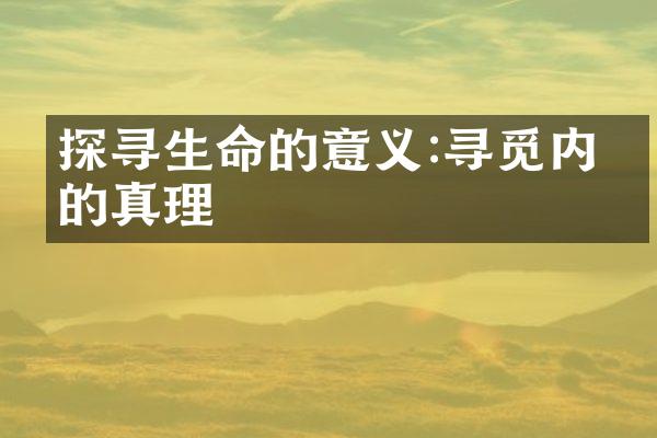 探寻生命的意义:寻觅内心的真理