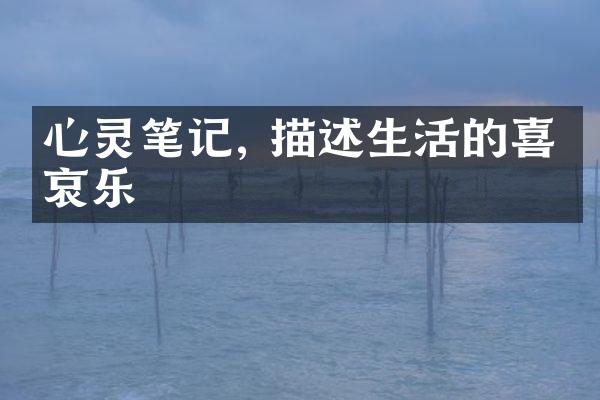 心灵笔记, 描述生活的喜怒哀乐