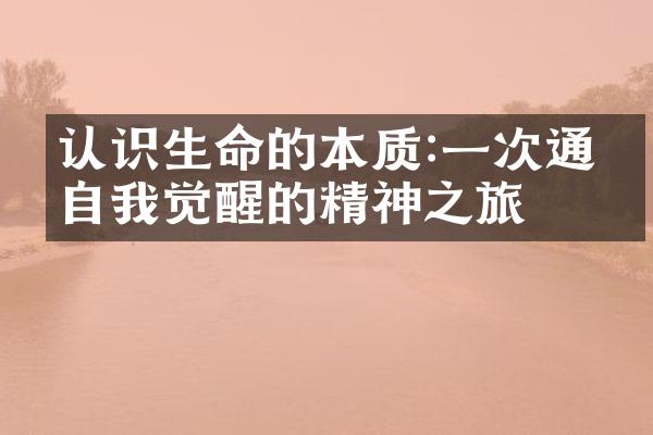 认识生命的本质:一次通往自我觉醒的精神之旅