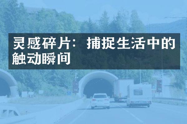灵感碎片：捕捉生活中的触动瞬间