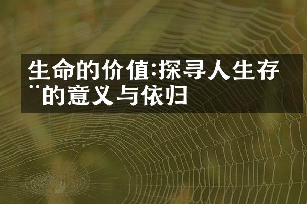 生命的价值:探寻人生存在的意义与依归