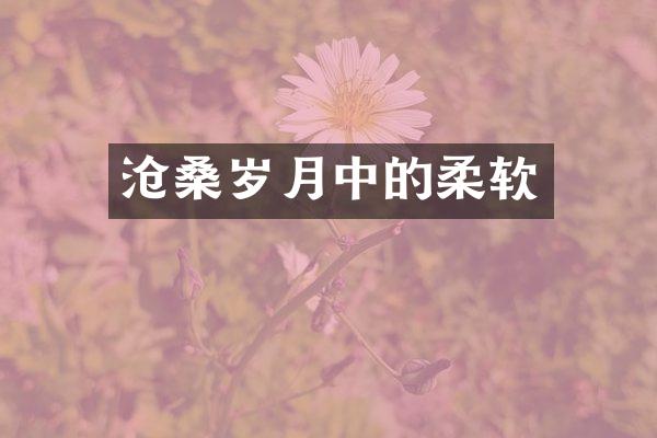 沧桑岁月中的柔软