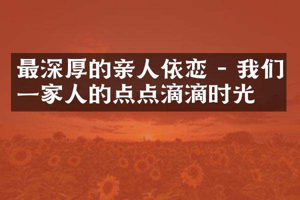 最深厚的亲人依恋 - 我们一家人的点点滴滴时光