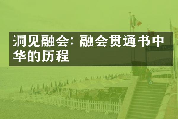 洞见融会: 融会贯通书中精华的