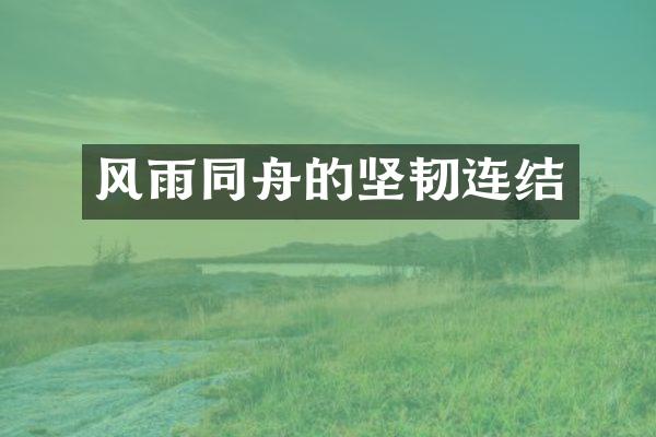 风雨同舟的坚韧连结