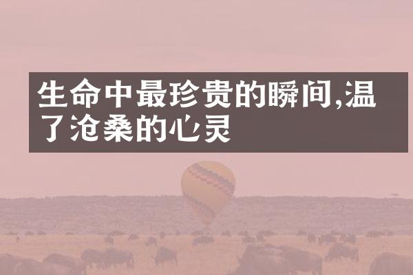 生命中最珍贵的瞬间,温润了沧桑的心灵