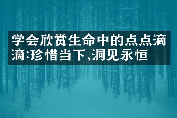 学会欣赏生命中的点点滴滴:珍惜当下,洞见永恒