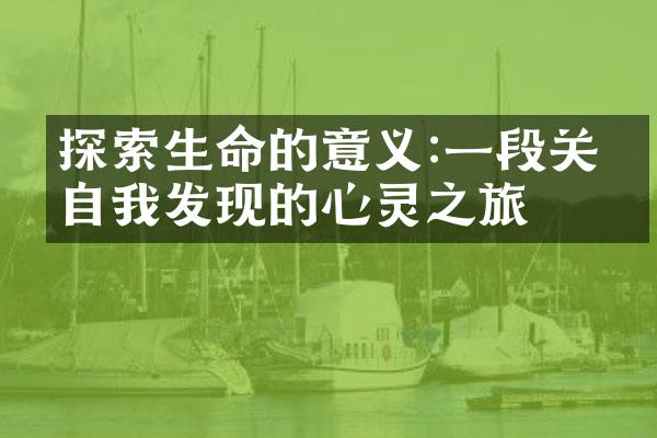 探索生命的意义:一段关于自我发现的心灵之旅